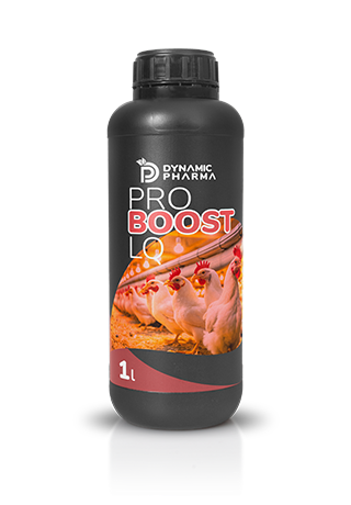 DYNAMIC PHARMA PRPROBOOST LQ ™ POULTRY SUPPLEMENT